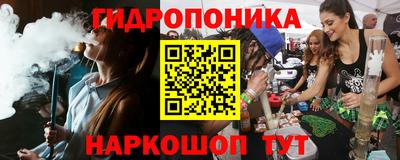 гидра Свободный