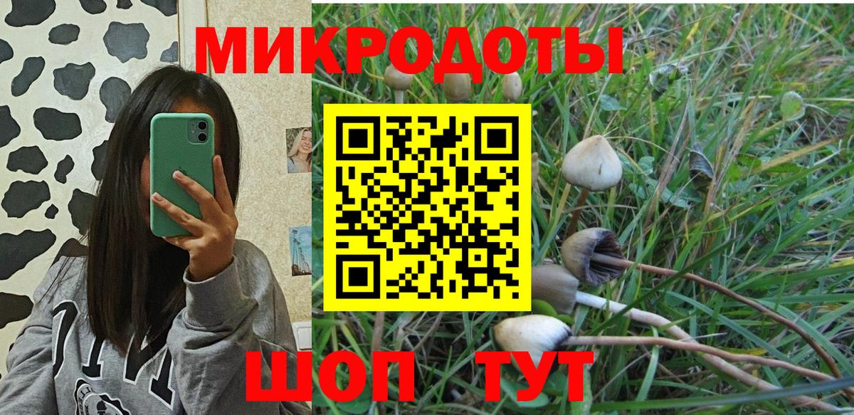 Галлюциногенные грибы Magic Shrooms Северобайкальск