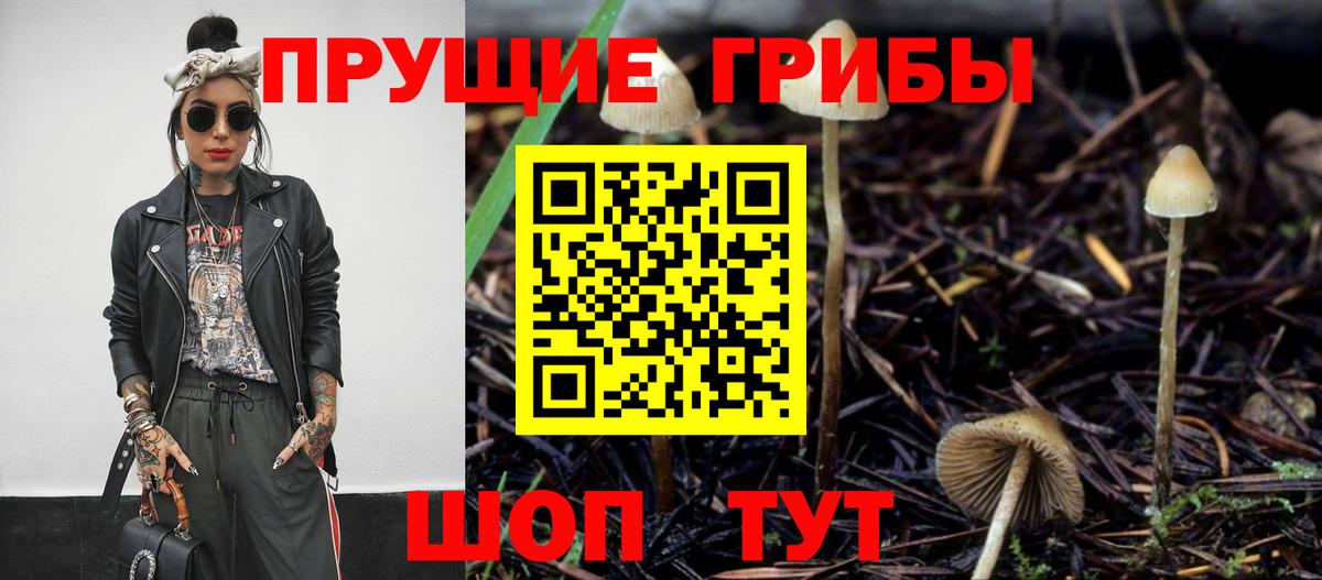 Псилоцибиновые грибы Psilocybe  Галлюциногенные грибы GOLDEN TEACHER  Северобайкальск  Вход с VPN 